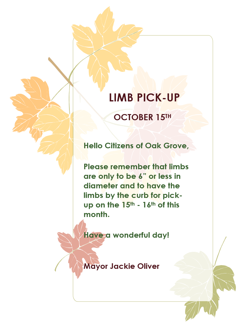 Featured image for “Limb Pick-Up: October 15, 2024”