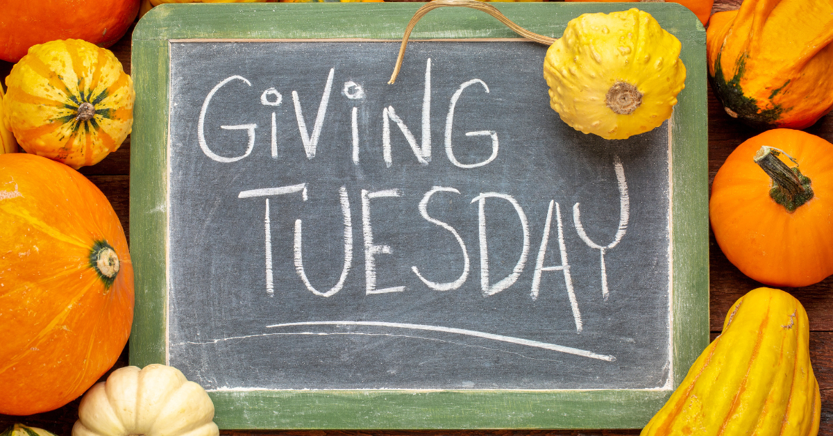 Featured image for “Giving Tuesday: How to Make a Lasting Impact in Your Community”