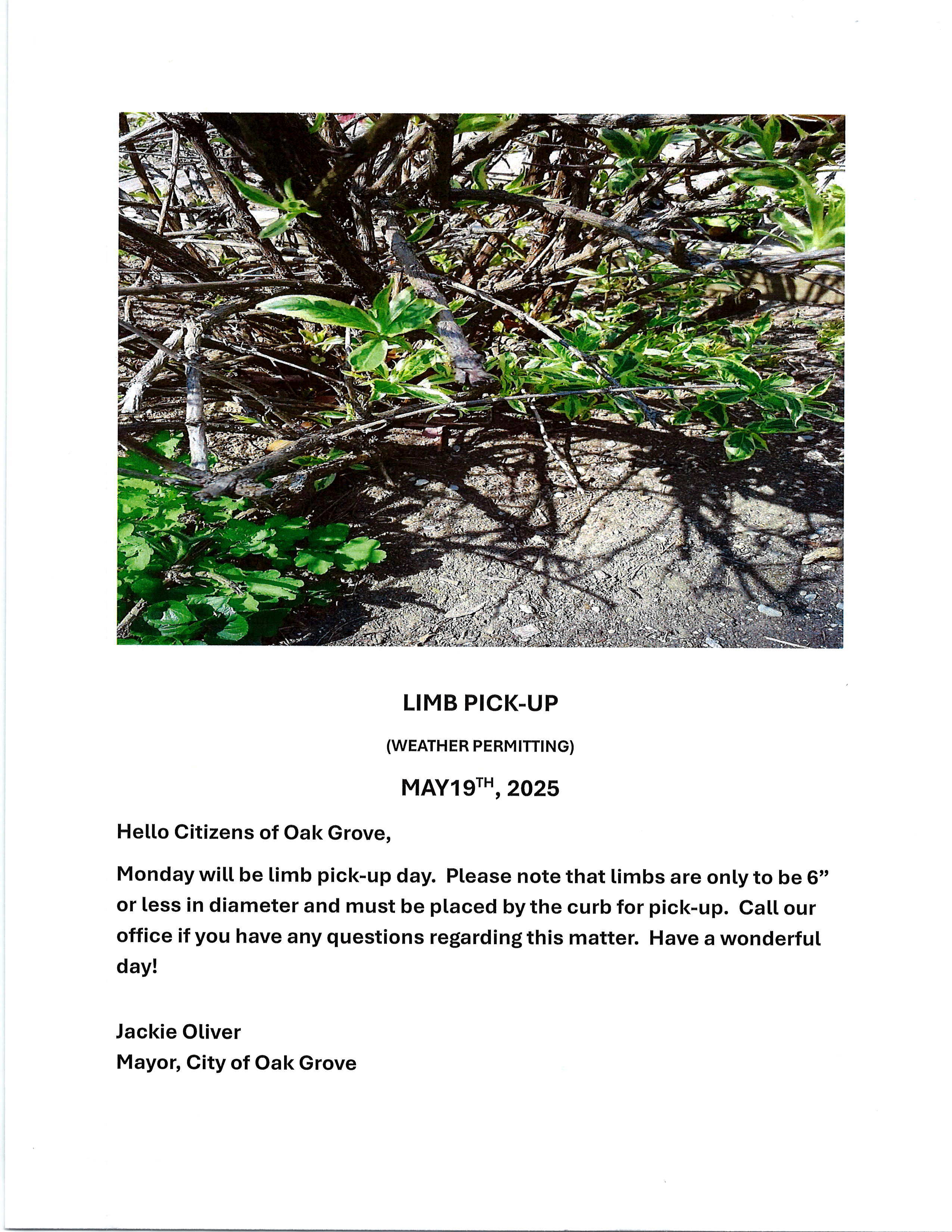 Featured image for “Limb Pick Up: May 19, 2025”