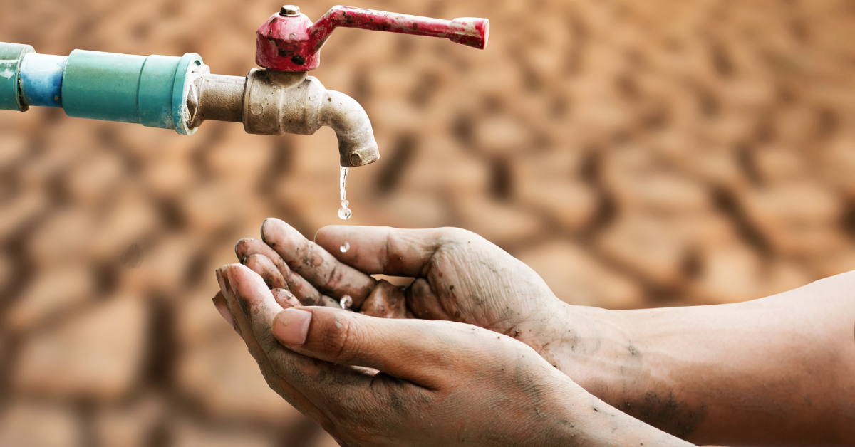 Featured image for “Save Every Drop: Easy Water Conservation Tips for Summer”