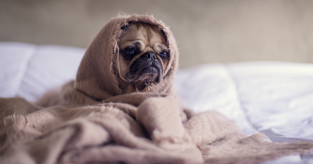 Featured image for “Simple Ways to Lower Your Heating Costs This Fall”